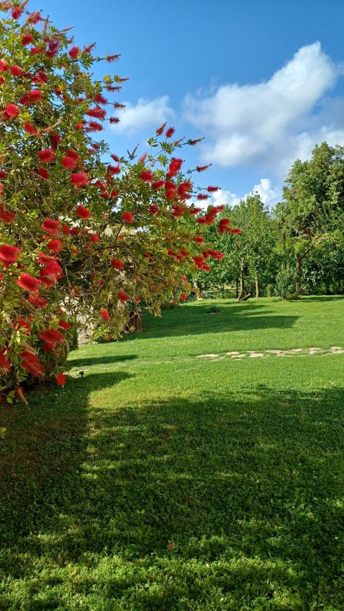 Agriturismo Colleverde Capalbio Exterior foto